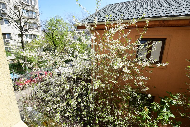 1 Decembrie, Pallady, 3 camere, bloc 2008, etaj 1/3, 2 parcari si boxa